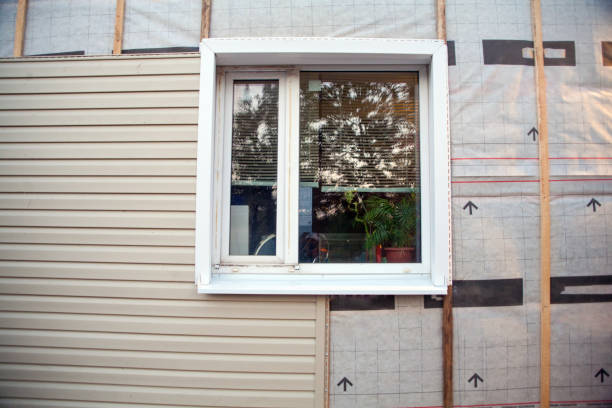 Best Insulated Siding Installation  in Old Fig Garden, CA