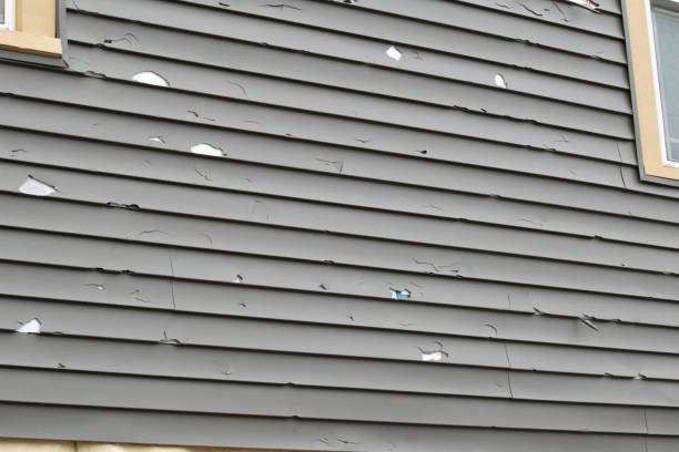 James Hardie Siding in Old Fig Garden, CA