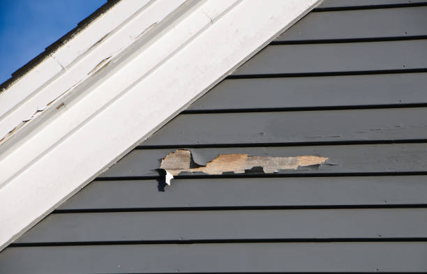 Best Brick Veneer Siding  in Old Fig Garden, CA