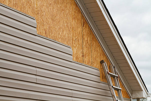 Best Custom Trim and Detailing for Siding  in Old Fig Garden, CA